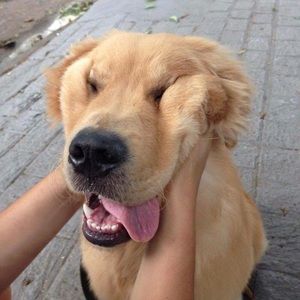 Meet your Posher, Peyton